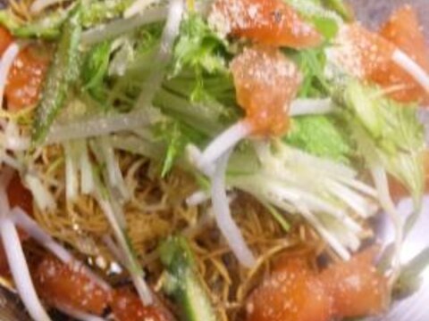 揚げ麺deパリパリサラダ